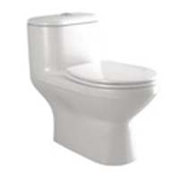 Parryware Sofia Single Piece Suite