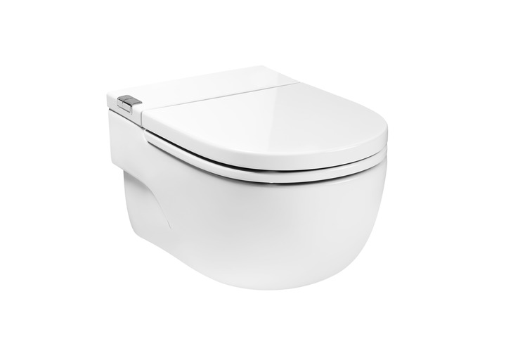 toilets-in-tank-toilets-meridian-in-tank-wall-hung-toilet-with-integrated-tank-within-the-unit-includes-i-type-support-seat-and-cover-needs-power-supply-rs893302000-400-595-400.jpg