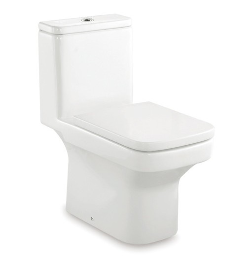 toilets-one-piece-toilets-dama-one-piece-wc-with-dual-outlet-p-trap-or-s-trap-305-mm-rs349787000-368-675-765.jpg