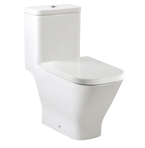 toilets-one-piece-toilets-the-gap-one-piece-wc-with-dual-outlet-p-trap-or-s-trap-305-mm-rs349477000-360-675-760.jpg